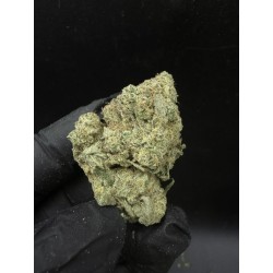 Agent O Top Shelf | Sativa 22% THC | Orange & Chimique