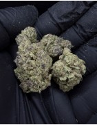 เกรดระดับกลาง